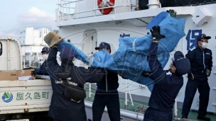 Pronađeno pet tela u olupini